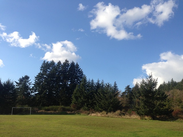 策略以封堵