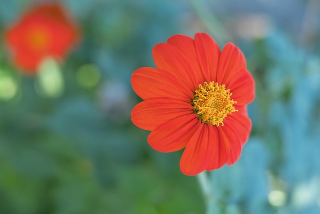 隊桑普的挑 隊桑普的挑