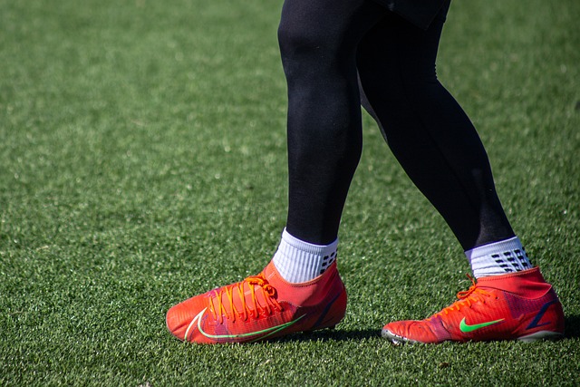 各大赛区的 各大赛区的