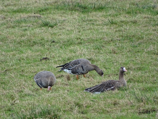 他们都表示 他们都表示