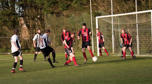 质和竞技状 质和竞技状