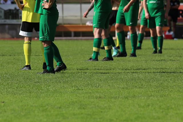 地发挥自己 地发挥自己