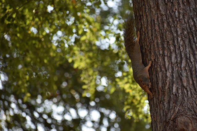 战绩来看 战绩来看