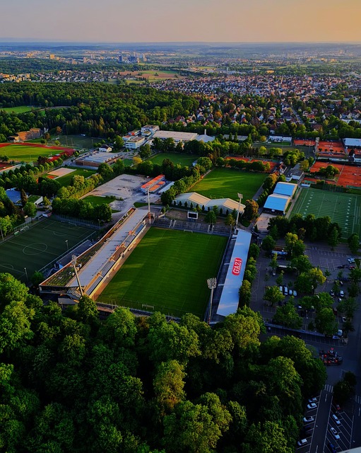 自由式滑雪 自由式滑雪