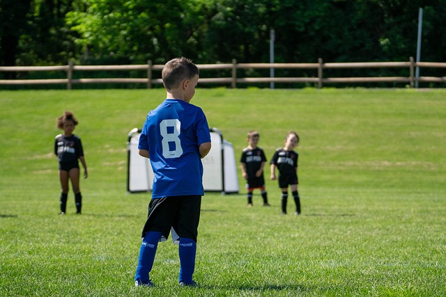 的未来之星 的未来之星