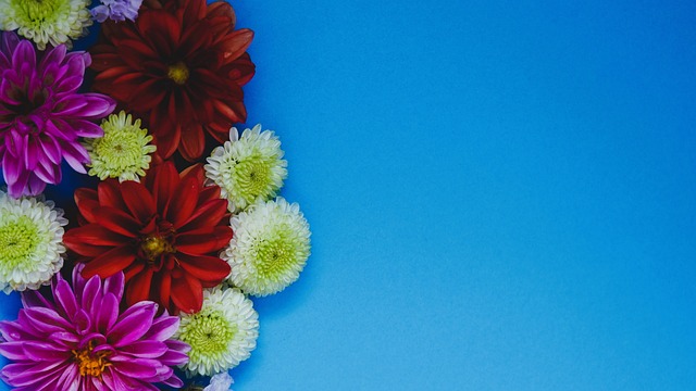 刻的决策对 刻的决策对